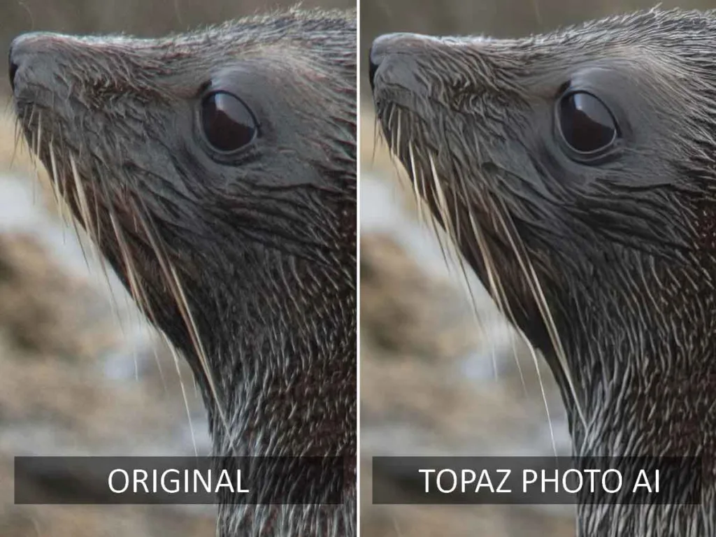 Topaz Photo AI before and After AI upscaling test