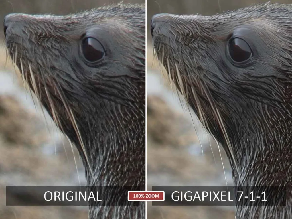 Gigapixel sample - before and after test