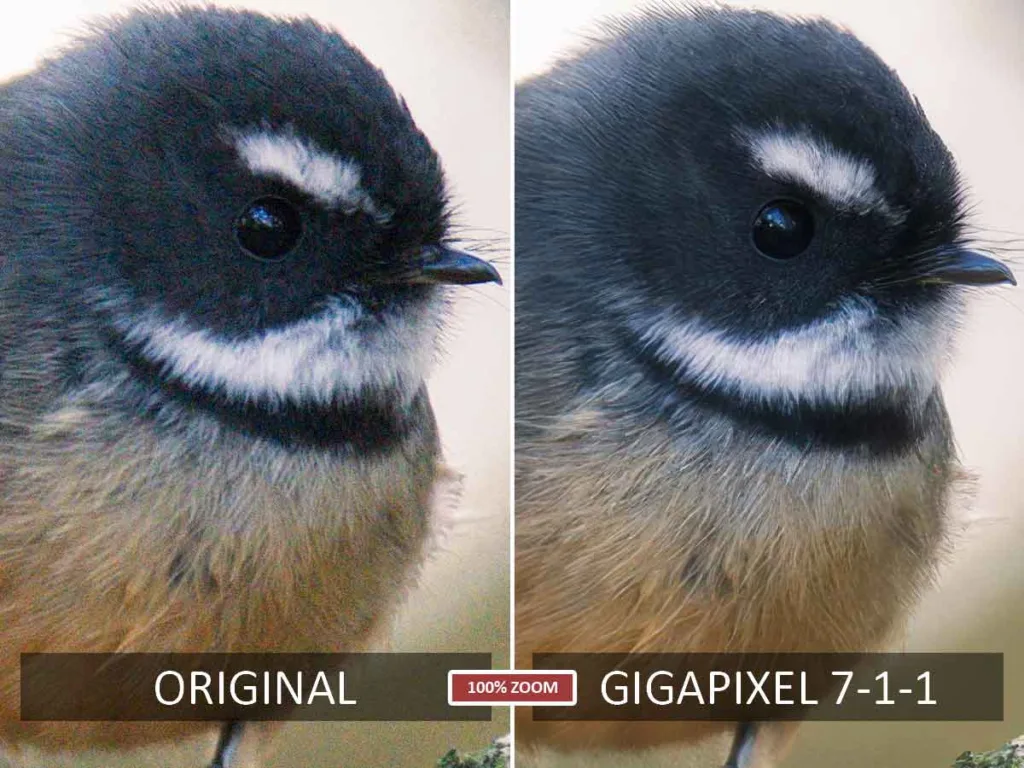 Gigapixel before and after upscale test
