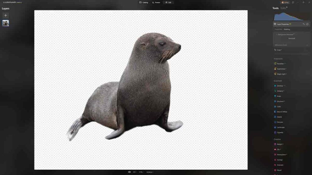 Background Removal tool in Luminar Neo