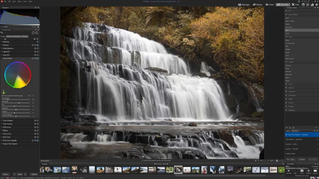 ACDSee Professional's Lightroom-style Develop tab