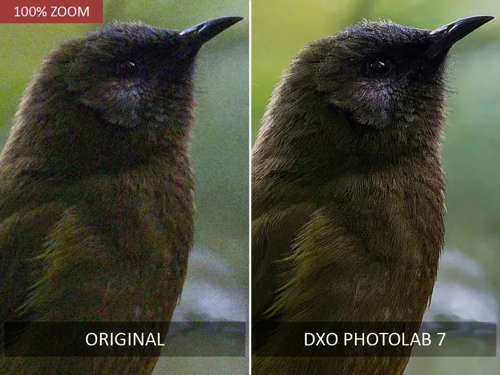 DxO PhotoLab 7 Noise Reduction before and after test.