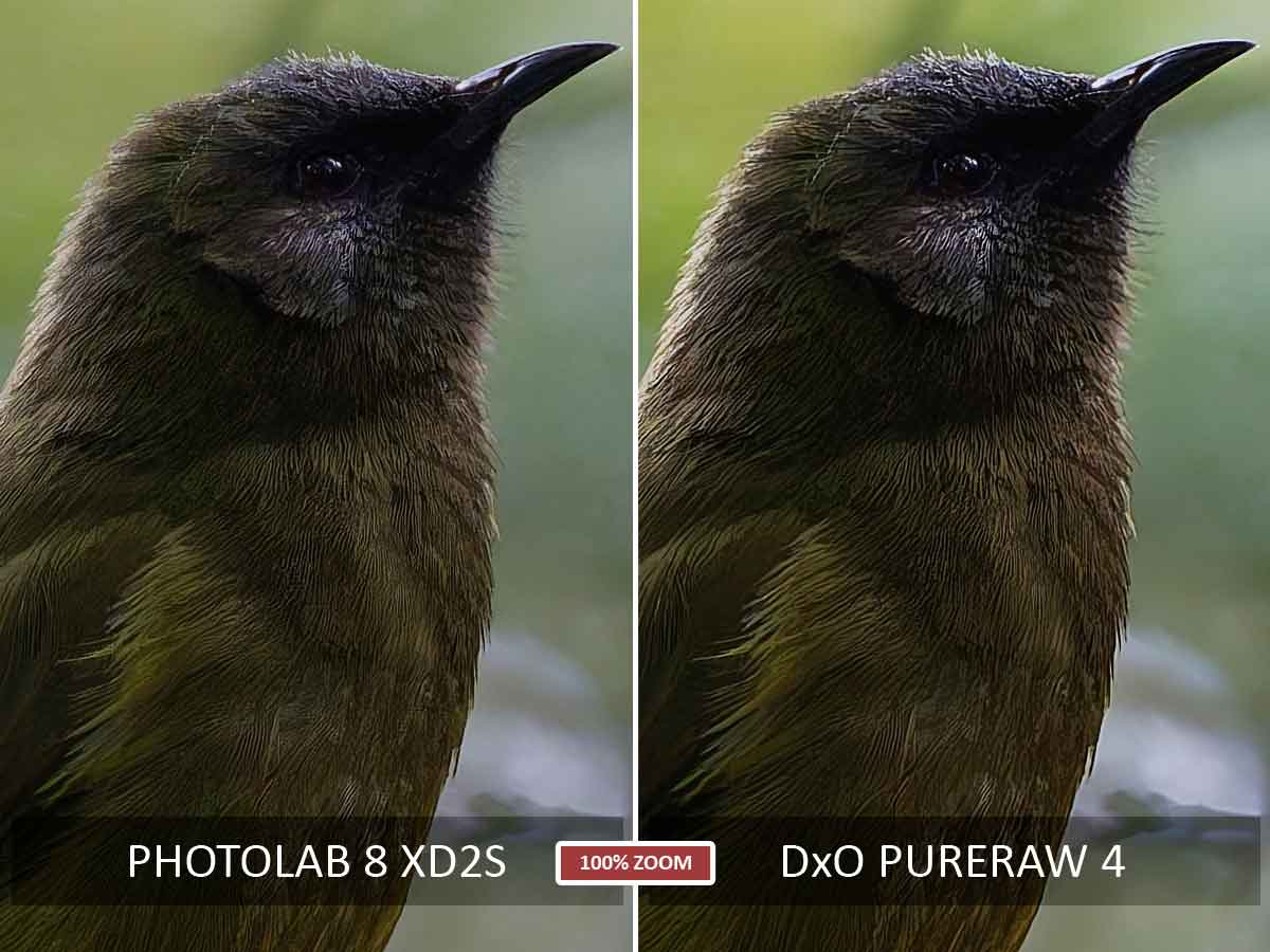 DxO Photolab 8 Review - Outstanding Image Quality