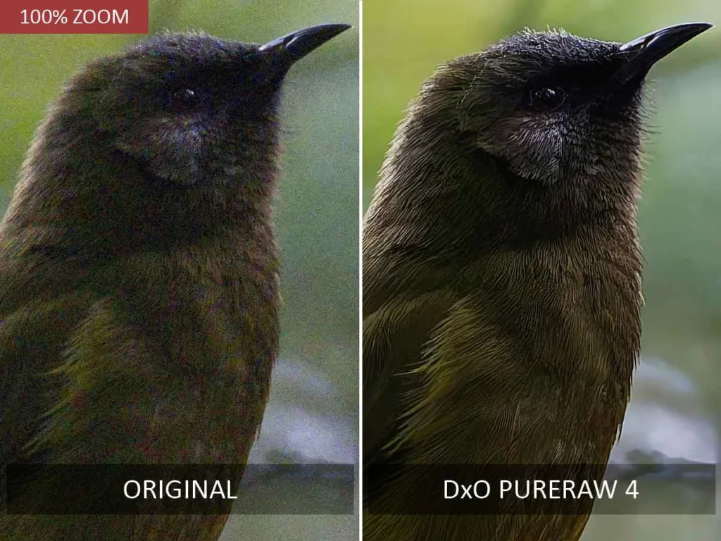 DxO PureRaw 4 before and after noise reduction test.