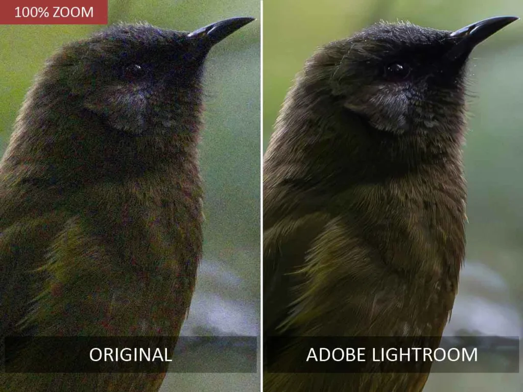 Lightroom Denoise before and after noise reduction test.