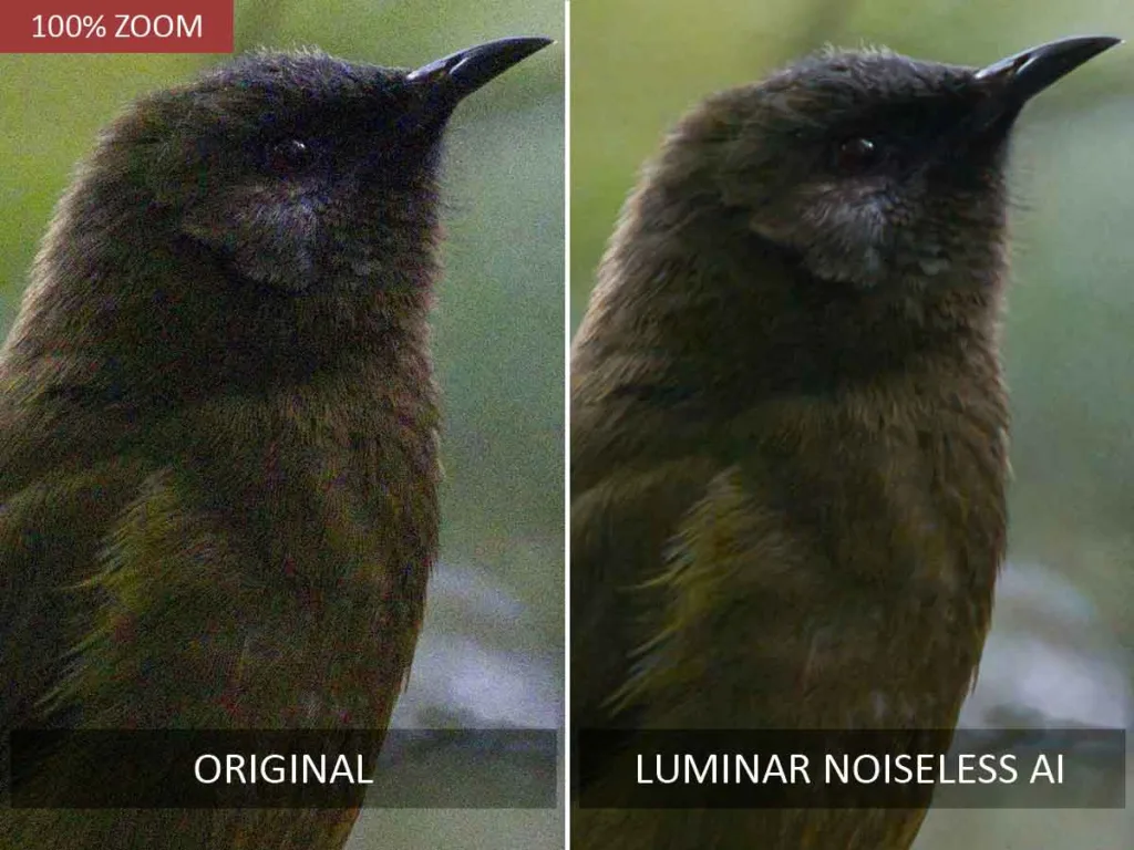 Luminar Noiseless AI before and after noise reduction test.