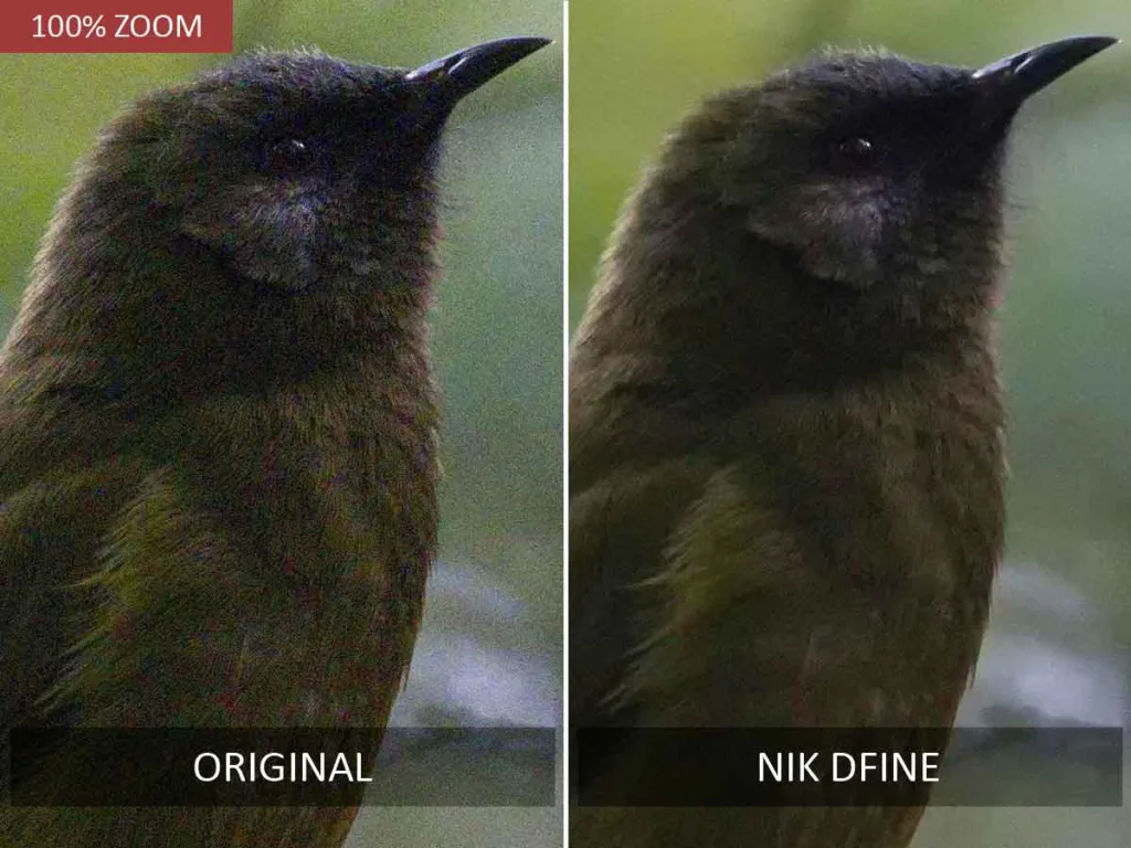 Nik Dfine before and after noise reduction test.
