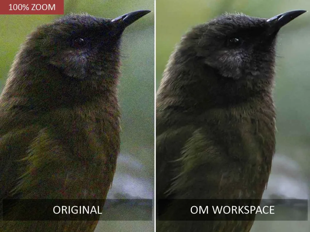 OM Workspace before and after noise reduction test.