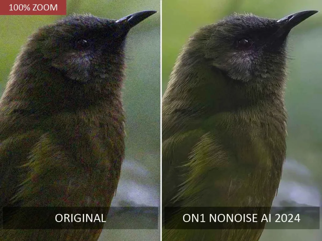 ON1 NoNoise AI 2024 before and after noise reduction test.