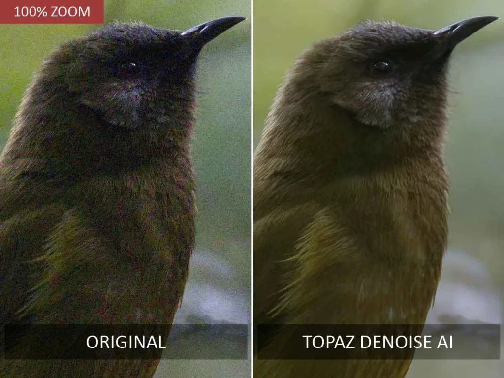 Topaz Denoise AI before and after noise reduction test.