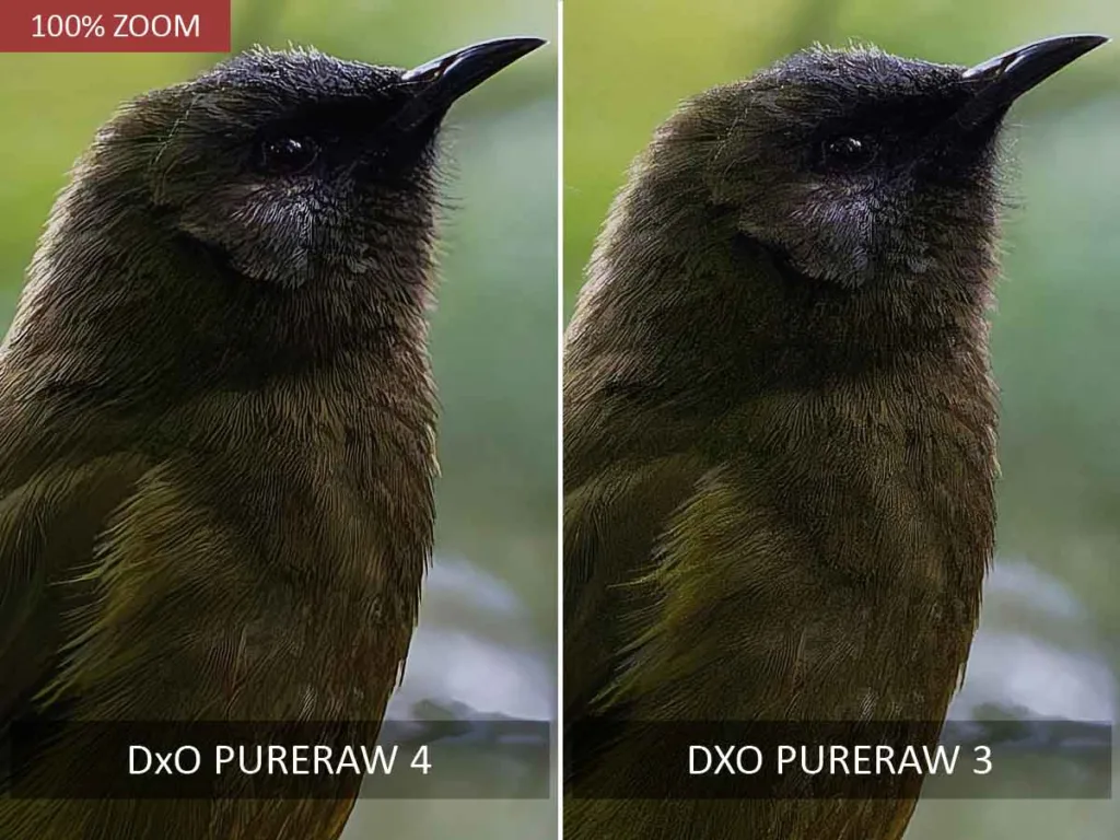 DxO PureRaw 4 vs DxO PureRaw 3