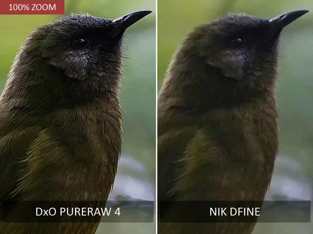 DxO PureRaw 4 vs Nik Dfine