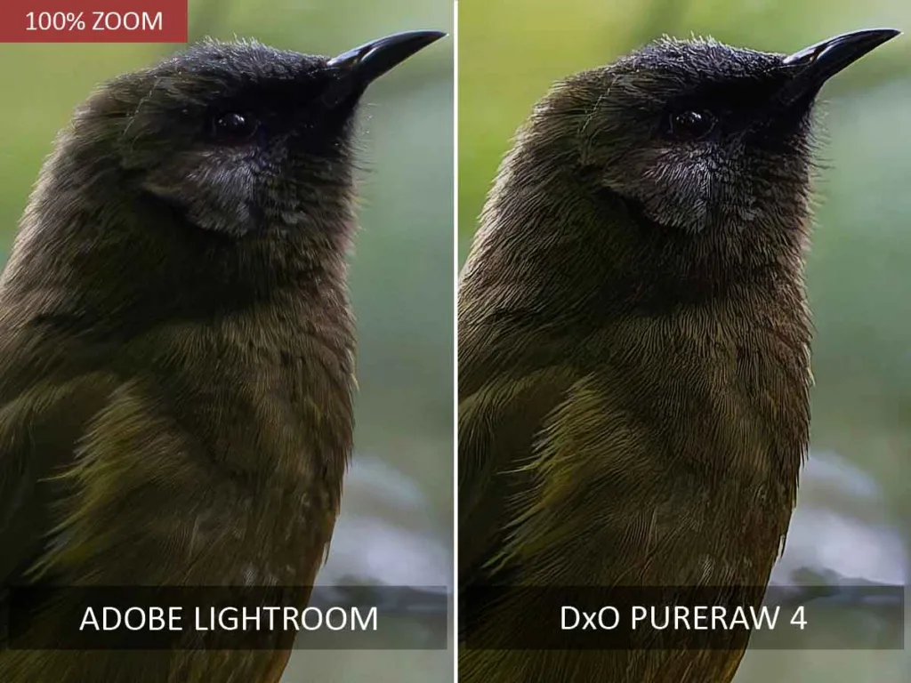 Lightroom Denoise vs DxO Pureraw 4