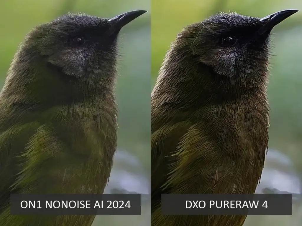 ON1 NoNoise AI vs DxO PureRaw 4 Noise Reduction Test