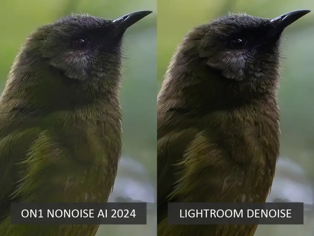 ON1 NoNoise AI vs Lightroom Denoise Noise Reduction Test