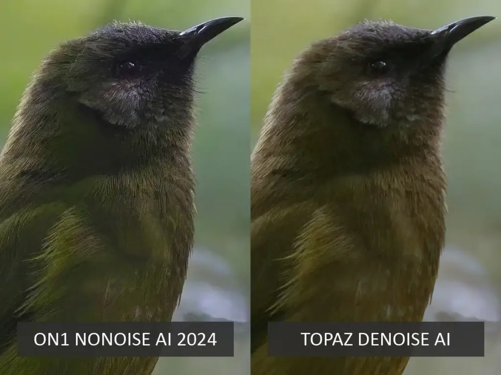 ON1 NoNoise AI vs Topaz Denoise AI Noise Reduction Test