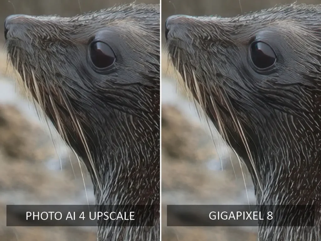 Topaz Photo AI vs Gigapixel Upscale Test