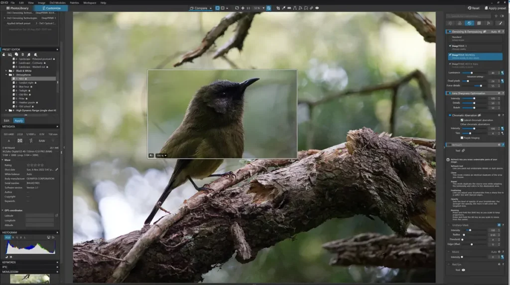 DeepPrime Noise Reduction in DxO Photolab 9