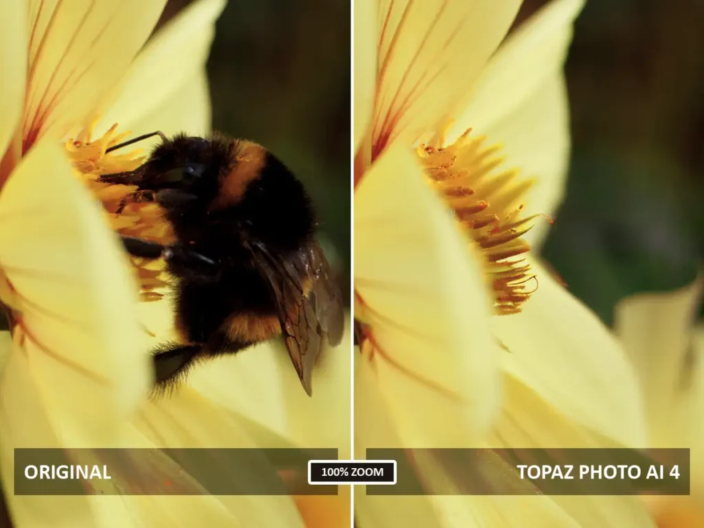 Topaz Photo AI 4 before and after Remove Object test