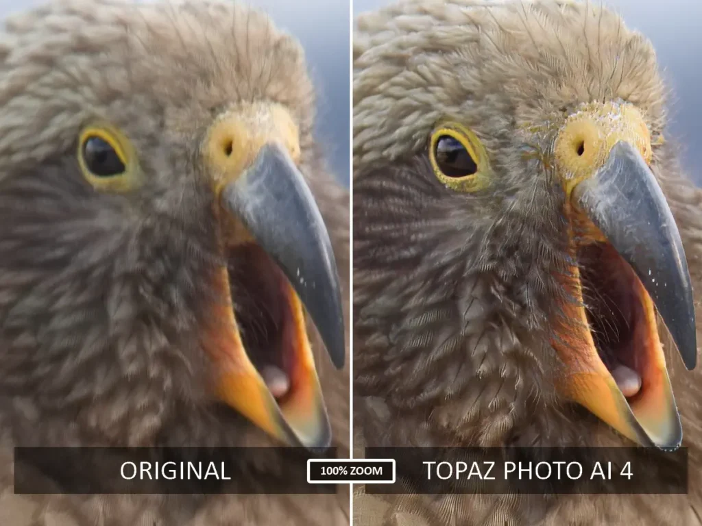 Topaz Photo AI 4 before and after sharpening test
