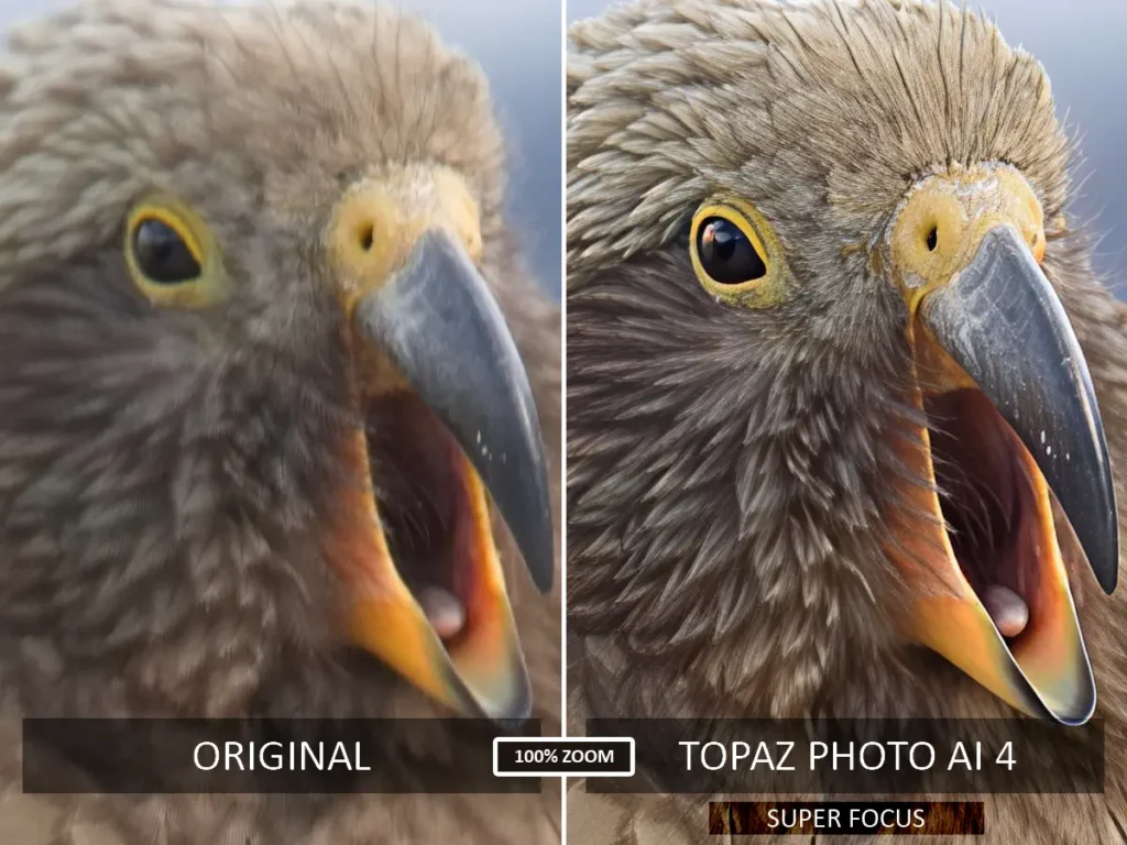 Topaz Photo AI 4 Before and After Super Focus test