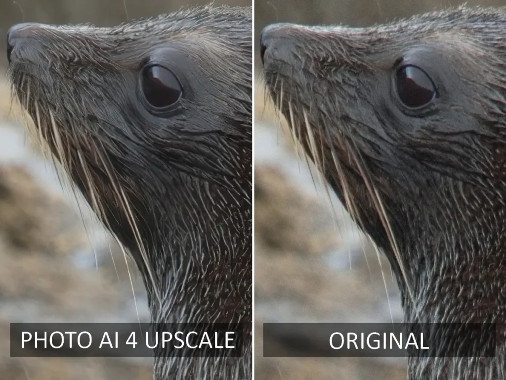 Topaz Photo AI 4 before and after upscale test