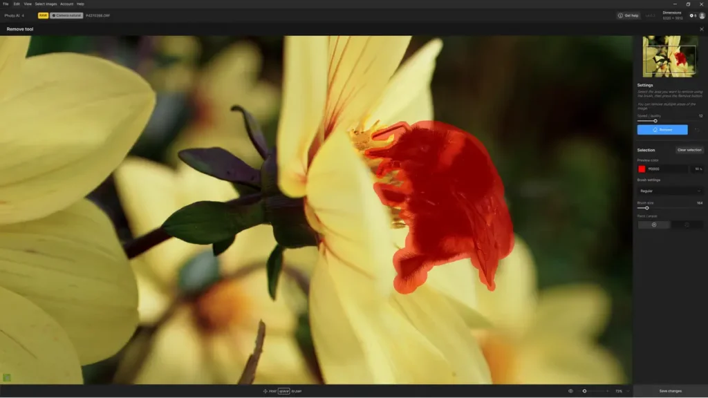Topaz Photo AI 4 Remove Object Masking