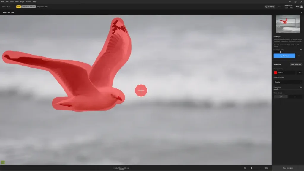 Topaz Photo AI 4 Remove Object Masking