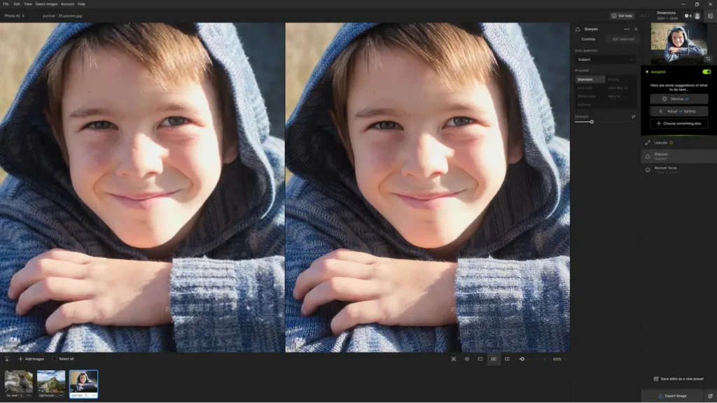 Topaz Photo AI 4 Sharpening