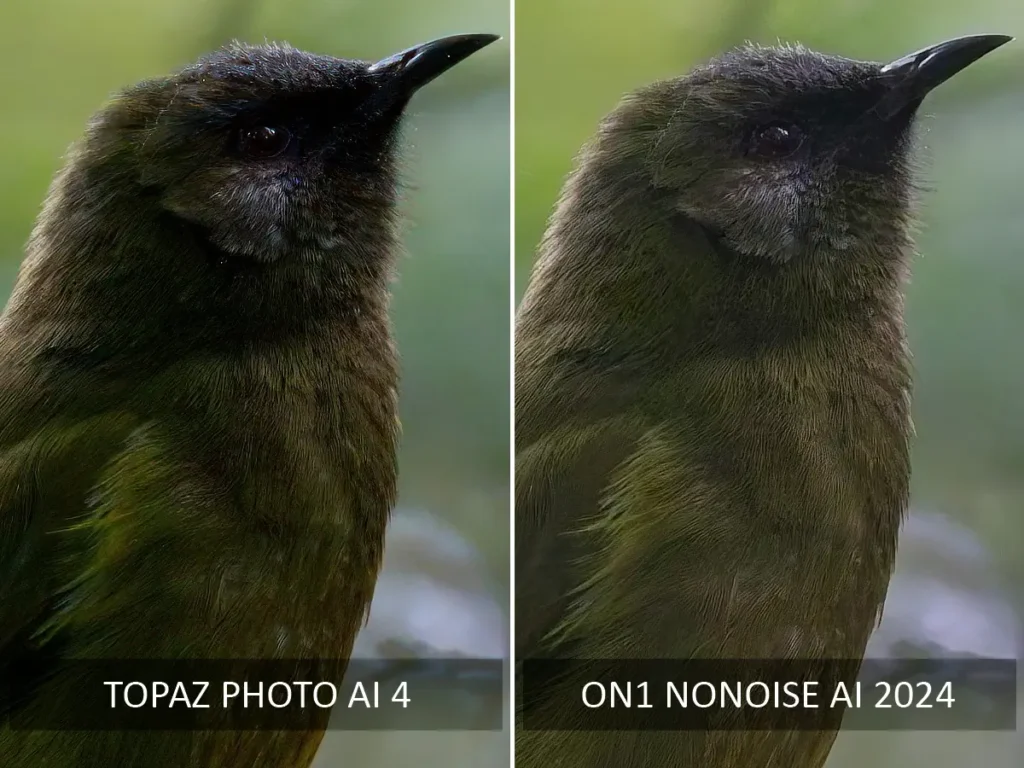 Topaz Photo AI 4 vs ON1 NoNoise AI Noise Reduction Test