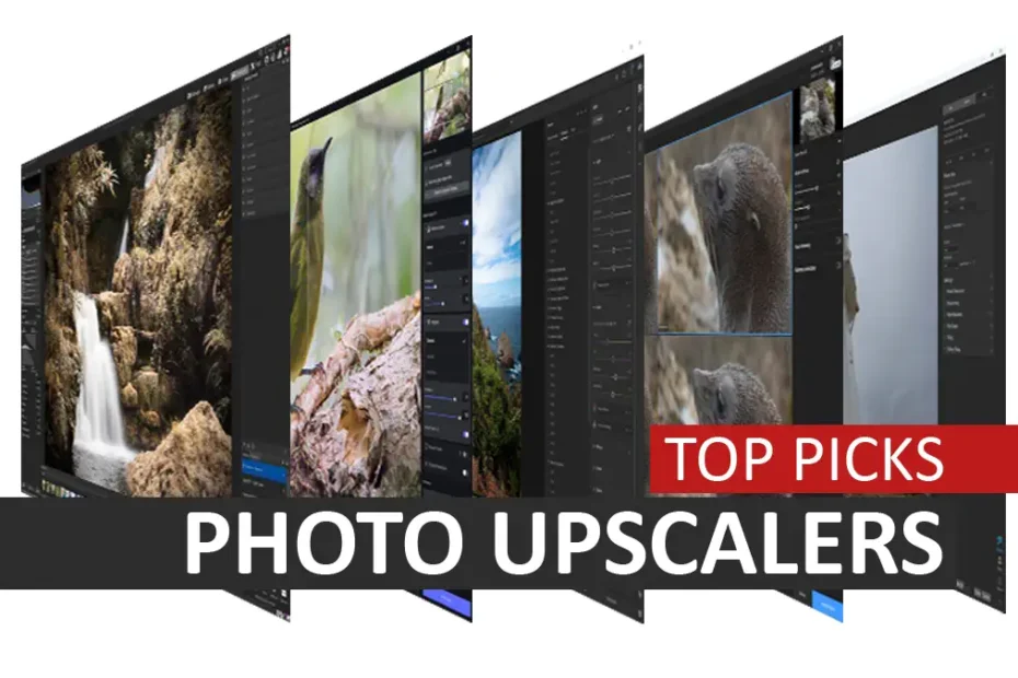 Best Photo Upscalers