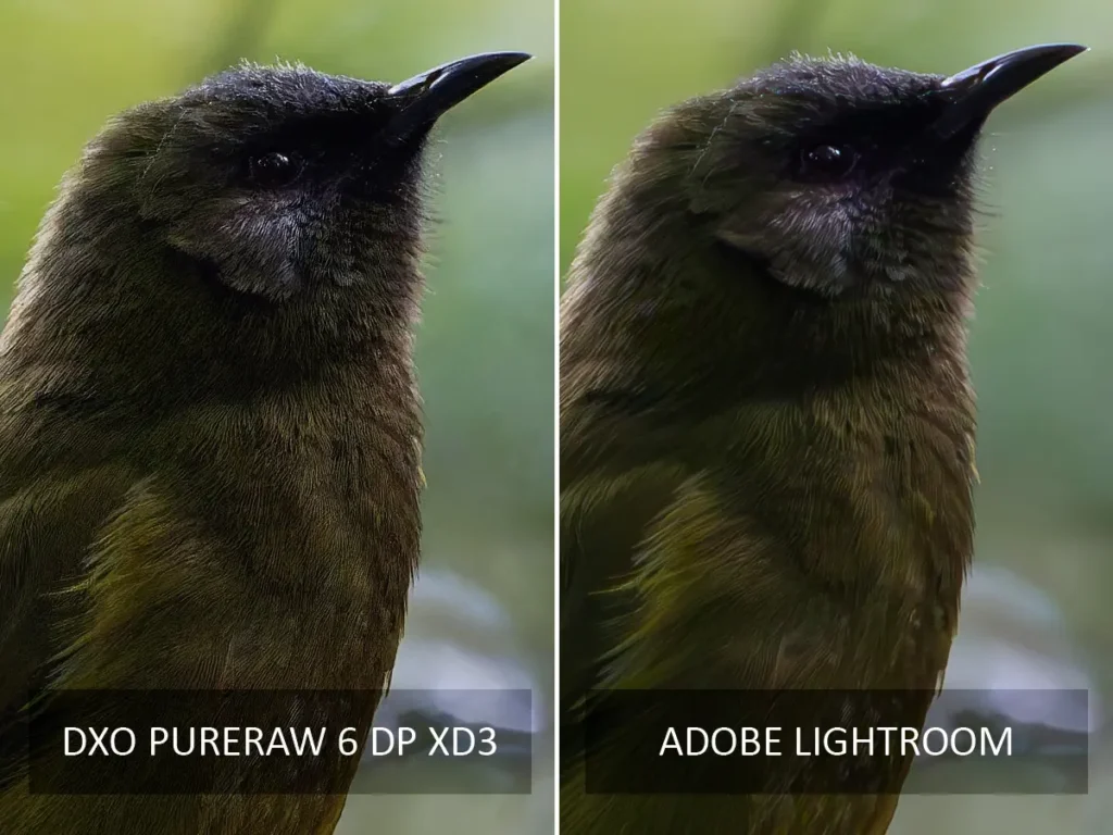 DxO PureRaw 6 vs Lightroom