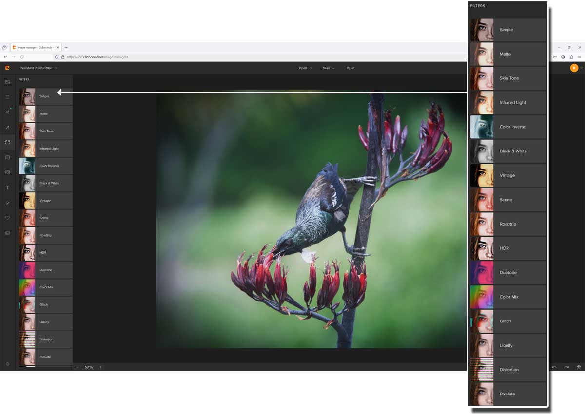 Colorcinch Review • Silent Peak Photo