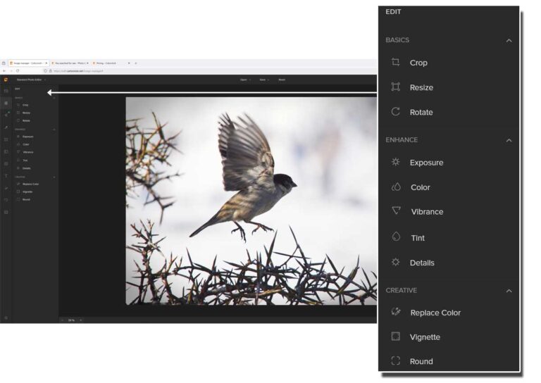 Color Cinch Colorcinch Review • Silent Peak Photo