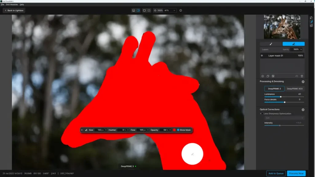 Local Masking in DxO PureRaw 6