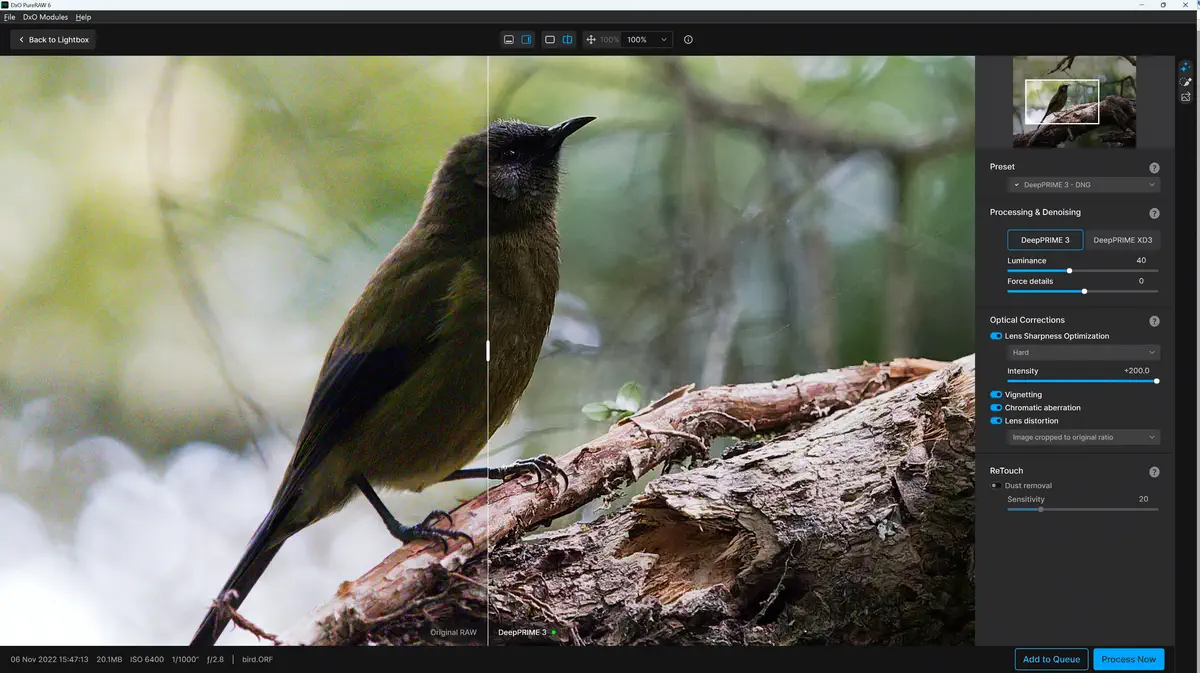 Noise Reduction in DxO PureRaw 6