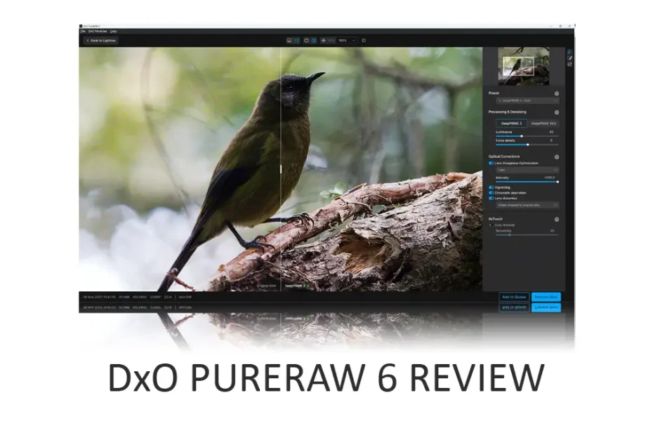 DxO PureRaw 6 Review
