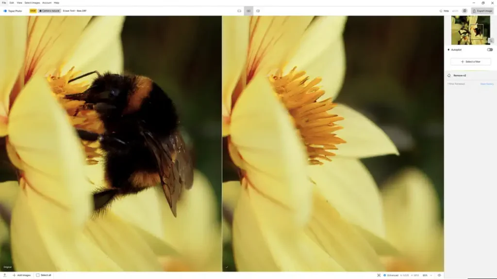 The remove erase brush in in Topaz Photo AI