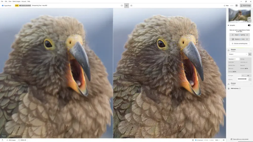 Blur Correcting Sharpening in in Topaz Photo AI