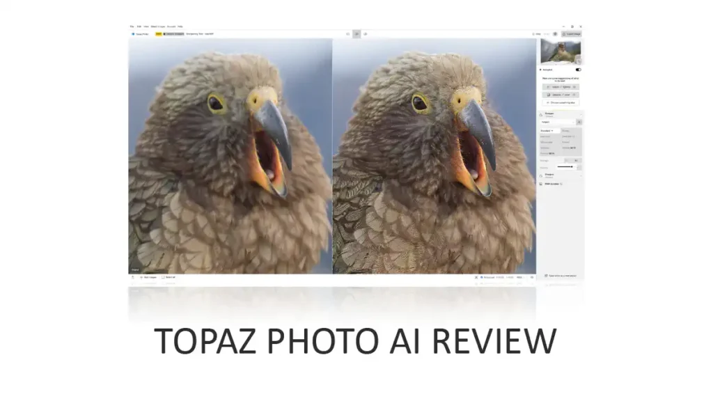 Topaz Photo AI Review